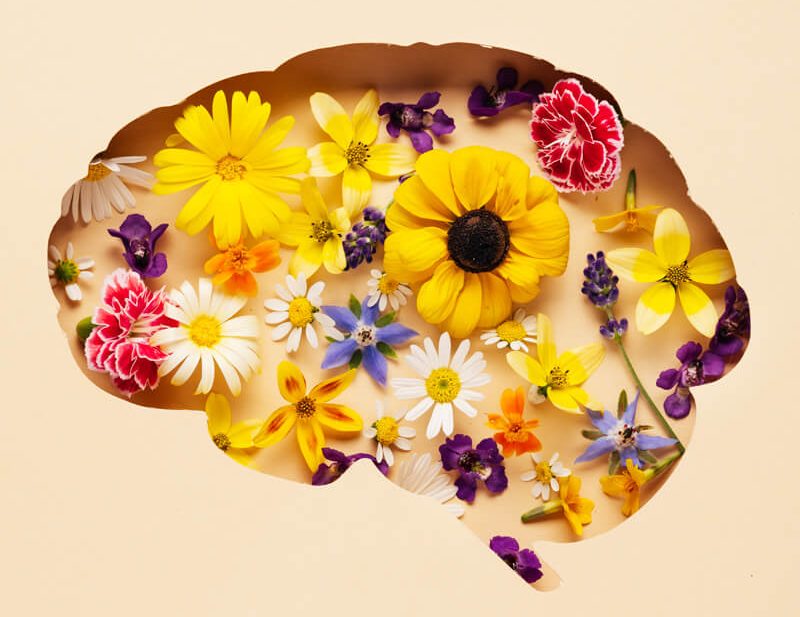 Des fleurs colorées s'épanouissent dans votre cerveau.